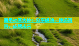 海角社区大神：分享经验，传递智慧，成就未来