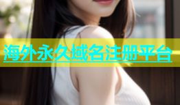 海外永久域名注册平台